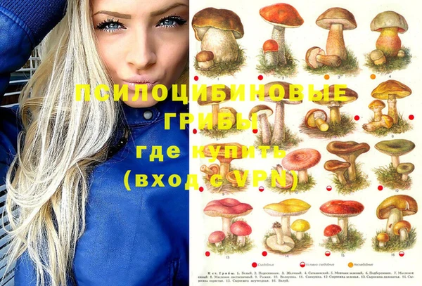 каннабис Аркадак