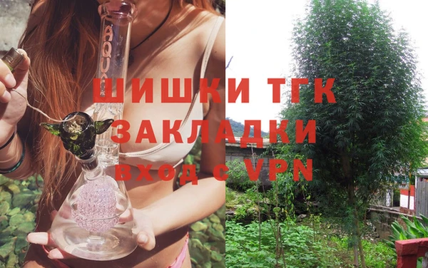 дмт Арсеньев