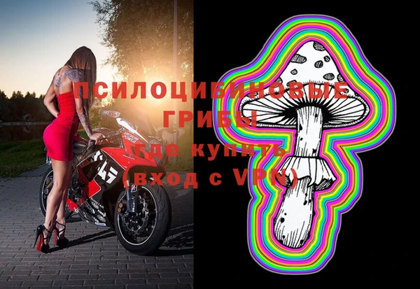 дмт Арсеньев