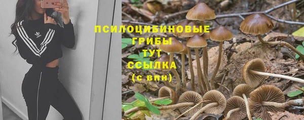 дмт Арсеньев