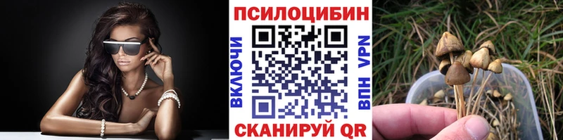 Галлюциногенные грибы Psilocybine cubensis  Павлово 